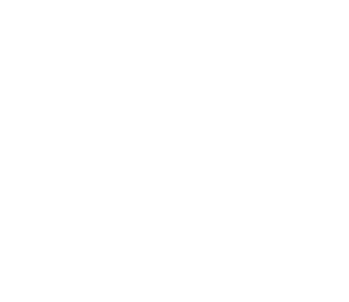 Samen Thuis 100